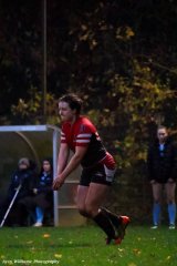 img_2191-2.jpg - JPEG - 748.3 ko - 2000×3000 px