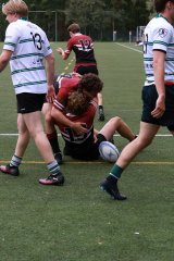 img_2327.jpg - JPEG - 842.3 ko - 2000×3000 px