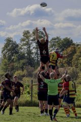 img_3801-2.jpg - JPEG - 849.2 ko - 2000×3000 px