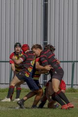 img_3860.jpg - JPEG - 734.1 ko - 2000×3000 px