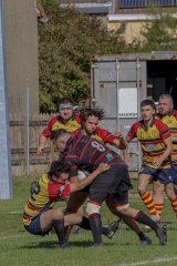 img_3864.jpg - JPEG - 843.5 ko - 2000×3000 px