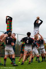 img_3870.jpg - JPEG - 669.3 ko - 2000×3000 px