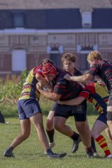 img_3908.jpg - JPEG - 768.5 ko - 2000×3000 px