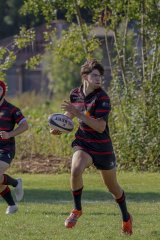 img_3916.jpg - JPEG - 776.9 ko - 2000×3000 px