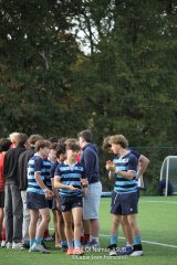 img_6115.jpg - JPEG - 765.4 ko - 2000×3001 px