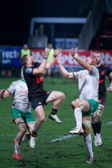 img_6314.jpg - JPEG - 1.5 Mo - 2000×3000 px