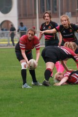 img_7598-2.jpg - JPEG - 592.7 ko - 2000×3000 px