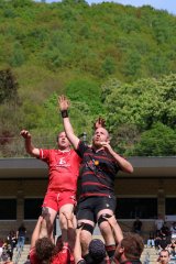 img_7726-2.jpg - JPEG - 727.9 ko - 2000×3000 px