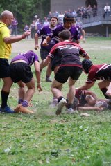 img_8092-3.jpg - JPEG - 769.5 ko - 2000×3000 px