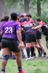 img_8096.jpg - JPEG - 685.2 ko - 2000×3000 px