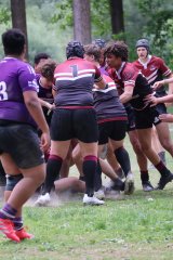 img_8100.jpg - JPEG - 723 ko - 2000×3000 px