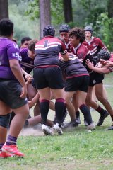 img_8101-2.jpg - JPEG - 755.9 ko - 2000×3000 px