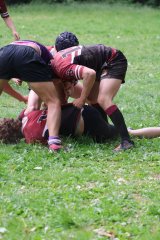 img_8113.jpg - JPEG - 748.2 ko - 2000×3000 px