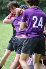 img_8117-2.jpg - JPEG - 596.4 ko - 2000×3000 px