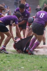 img_8125-3.jpg - JPEG - 645.5 ko - 2000×3000 px