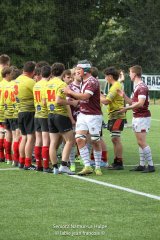 img_9951-2.jpg - JPEG - 672.4 ko - 1500×2251 px