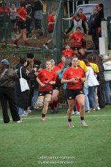 imgl1412.jpg - JPEG - 846.7 ko - 2000×3001 px