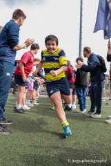 226a1801.jpg - JPEG - 441.9 ko - 1500×2249 px