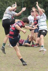 gp5f1758.jpg - JPEG - 943.8 ko - 2000×2936 px