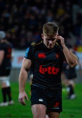 photo_1_-1228.jpg - JPEG - 1.4 Mo - 2000×2897 px