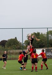 img_7274.jpg - JPEG - 736.2 ko - 2000×2876 px