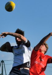 dsc_7746-2.jpg - JPEG - 311.9 ko - 1500×2137 px