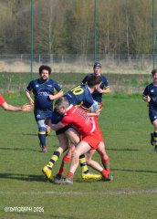 dsc_0986-4.jpg - JPEG - 712.3 ko - 2000×2800 px