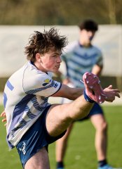 2473_jz1_2408.jpg - JPEG - 529.9 ko - 2000×2773 px