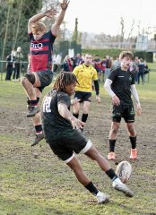 gp5f7274.jpg - JPEG - 1 Mo - 2000×2759 px