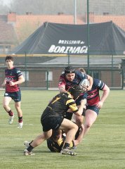 gp5f0912.jpg - JPEG - 750.2 ko - 2000×2709 px