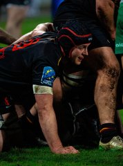 photo_1_-1184.jpg - JPEG - 1.4 Mo - 2000×2701 px