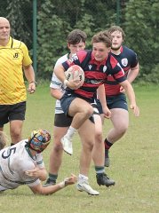 gp5f1809.jpg - JPEG - 757.7 ko - 2000×2690 px