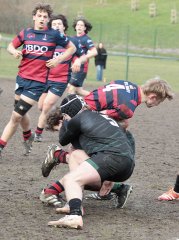 gp5f6902.jpg - JPEG - 744.4 ko - 2000×2693 px