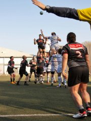 65-4.jpg - JPEG - 184.4 ko - 1536×2048 px