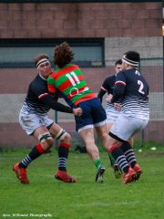 img_3596.jpg - JPEG - 692.5 ko - 2000×2667 px