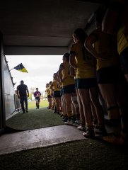 p1351334.jpg - JPEG - 655.6 ko - 2000×2664 px