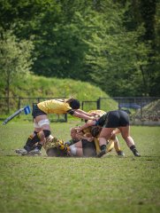 p1351367.jpg - JPEG - 781 ko - 2000×2665 px