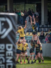 p1351382.jpg - JPEG - 670.3 ko - 2000×2664 px