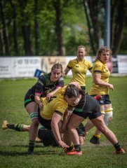 p1351388.jpg - JPEG - 750 ko - 2000×2665 px