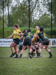 p1351454.jpg - JPEG - 836.8 ko - 2000×2664 px