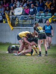 p1351466.jpg - JPEG - 871.1 ko - 2000×2665 px