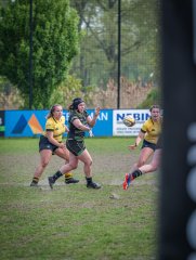 p1351478.jpg - JPEG - 763.6 ko - 2000×2664 px