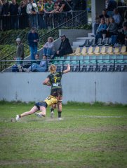 p1351480.jpg - JPEG - 834.1 ko - 2000×2664 px