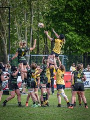 p1351482.jpg - JPEG - 985 ko - 2000×2664 px