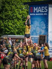 p1351490.jpg - JPEG - 814.7 ko - 2000×2664 px