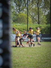 p1351544.jpg - JPEG - 770.9 ko - 2000×2664 px