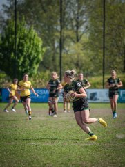 p1351546.jpg - JPEG - 745.1 ko - 2000×2664 px