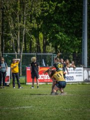 p1351547.jpg - JPEG - 805.1 ko - 2000×2664 px