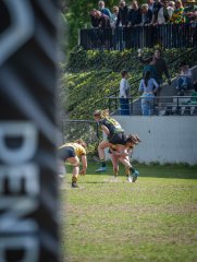 p1351558.jpg - JPEG - 758 ko - 2000×2665 px