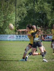 p1351578.jpg - JPEG - 755.1 ko - 2000×2664 px